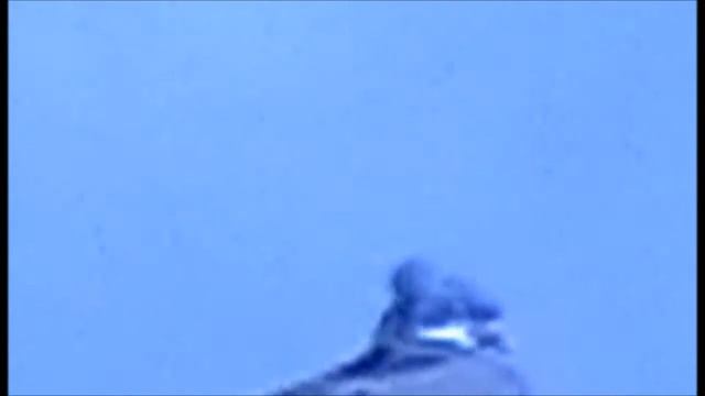 Panasonic HDD SDR-H40 смотреть онлайн