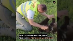 В Тверской области на аэродроме пилоты спасли медвежонка – теперь он живёт с ними