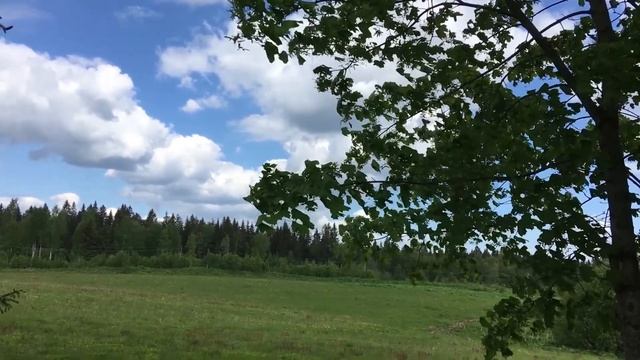 Стихи "Ты ветра тень". смотреть онлайн