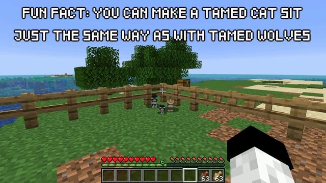 How to Breed Cats in Minecraft (All Versions) смотреть онлайн