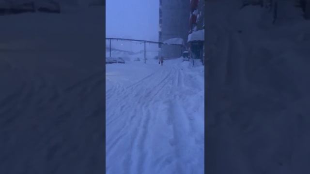 ЯМААААЙКА!!!Ямайка на крайнем севере смотреть онлайн