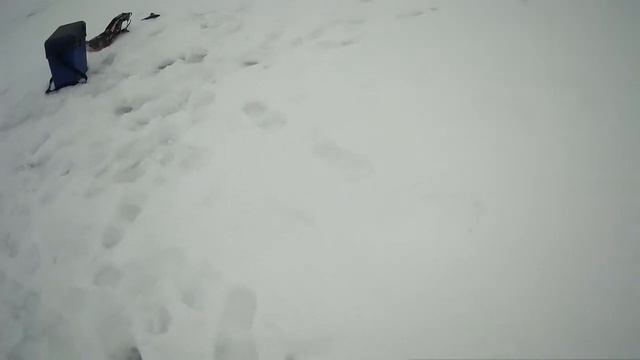 Подледный лов в конце марта. Окунь плотва смотреть онлайн