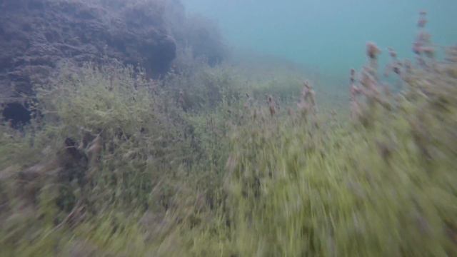 Шингарка Осенью 16.10.2016 смотреть онлайн