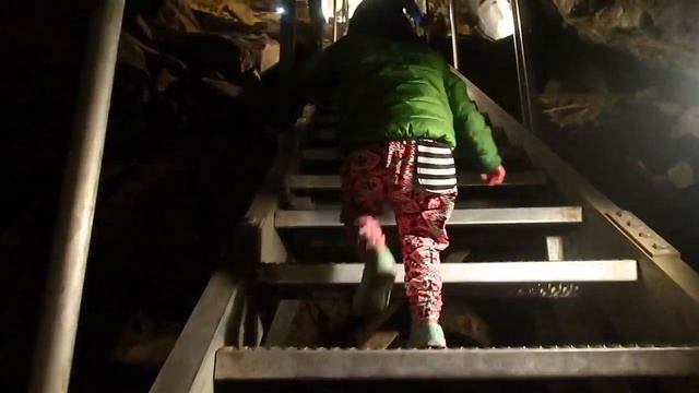 Sisters Reunited! Cutest Reaction! ? смотреть онлайн