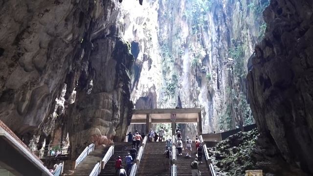 Куала-Лумпур и САМЫЙ МИЛЫЙ зоопарк в галактике