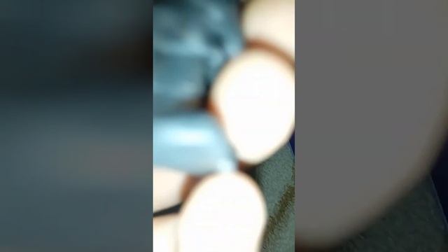 лепка не которых пирсонажей смотреть онлайн