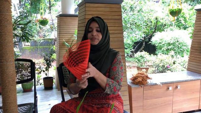 ONCIDIUM ORCHID CARE | DANCING GIRL CARE IN MALAYALAM | HOW TO CARE AND PROPAGATE DANCING LADY | смотреть онлайн