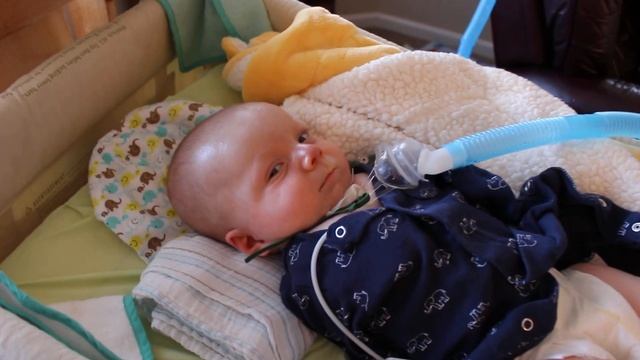 Bennett and his Squish toy2 смотреть онлайн