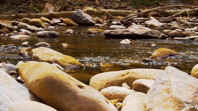 Seneca Rocks West Virginia - 4k смотреть онлайн