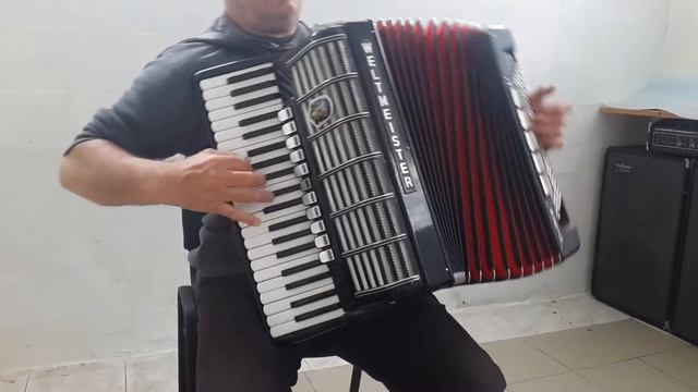 Weltmeister Cantus IV(1)