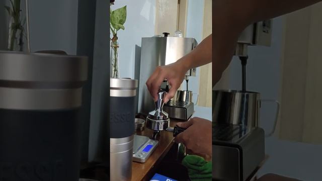 morning creamy cappucino workflow with Gaggia Classic Pro + 1zpresso JX Pro in only 6 min. смотреть онлайн