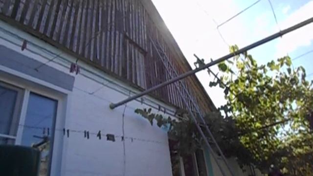 ОГРОМНОЕ ГНЕЗДО ШЕРШНЕЙ ИЛИ ОС НА ФРОНТОНЕ ДОМА - БОРЬБА С НИМИ смотреть онлайн