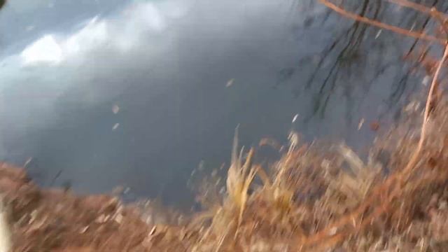 Где искать щуку осенью? Большая щука на салмыше смотреть онлайн