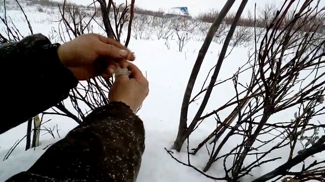 Поставим силок на Полярную куропатку 2 серия смотреть онлайн