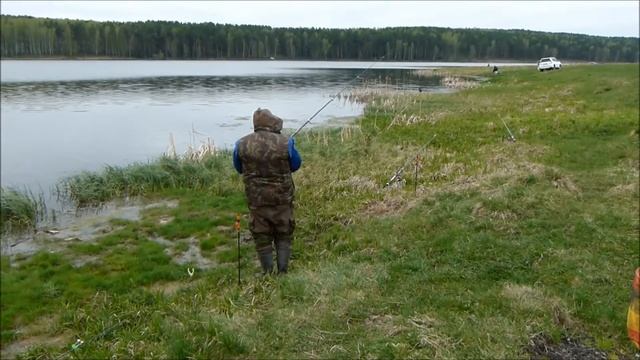 Сибирский карась. Май, Первоманск. смотреть онлайн