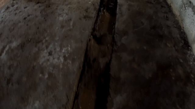 Система удаления навоза ТСН-160 в моем коровнике. смотреть онлайн