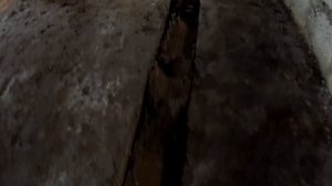 Система удаления навоза ТСН-160 в моем коровнике.