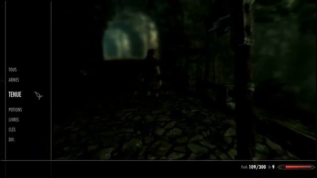 The Elder Scrolls V: Skyrim #1: Le Commencement ...
