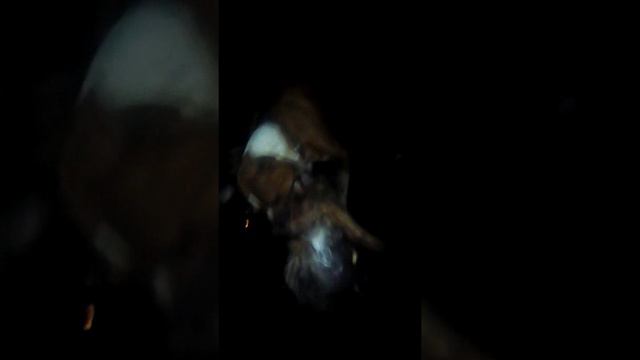 Не надо лезть вадвор где живет стаф )) смотреть онлайн