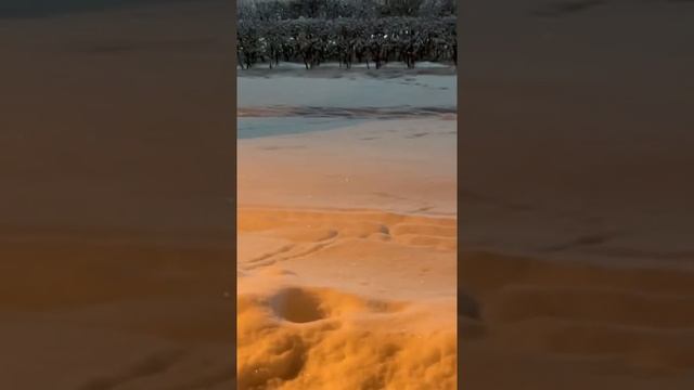 крыса бегает в снегу