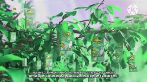 Сады Придонья для детей - Реклама Effects