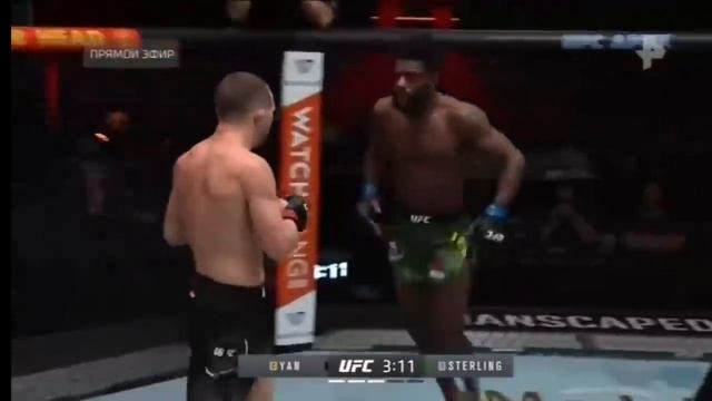 Пётр Ян Стерлинг. Полный бой