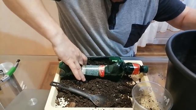 виноград посажен неправильно. Спасение! смотреть онлайн