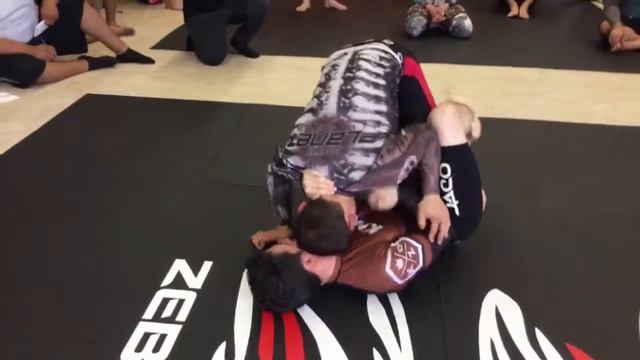 Jesus urbina vs tony Denofre bullpen submission series Brown Belts смотреть онлайн