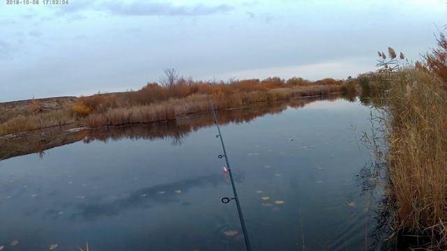 Щука на лягушку первая. смотреть онлайн
