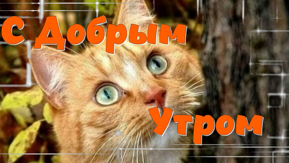С Добрым Утром! Просыпайся, Улыбайся! Музыкальная Открытка смотреть онлайн