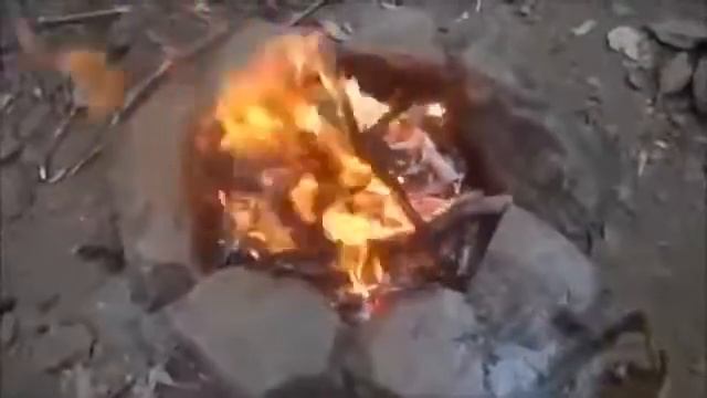 [Выживание в дикой природе ]Постройка маленького дома с костром и уютом[ч.1] смотреть онлайн