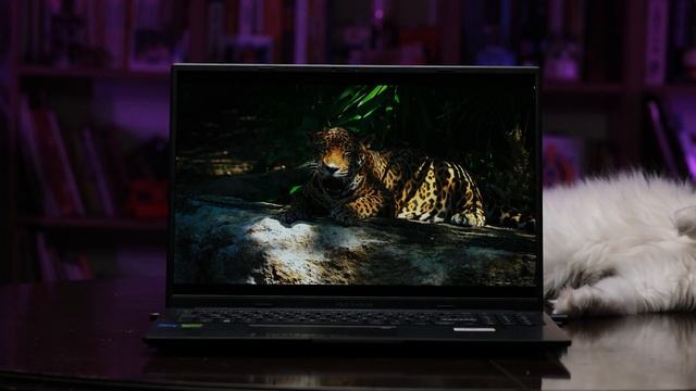 Öğrenciye makul fiyatlı oyuncu bilgisayarı - ASUS VivoBook 16X смотреть онлайн