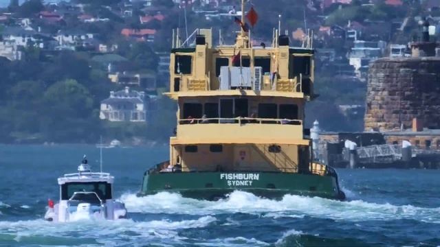 Sydney Harbour Activity - Up Close - Panasonic HC-VX1 смотреть онлайн