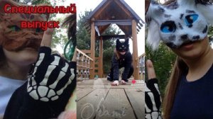 Квадробика 2|Смешные пушистые друзья.