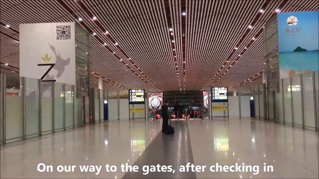 Beijing International Airport Taxi Arrival and Walk to BGS Lounge смотреть онлайн