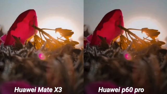 Huawei Mate X3 VS Huawei P60 pro camera test смотреть онлайн
