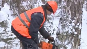 Клин валочный механический, валка дерева в -30 С