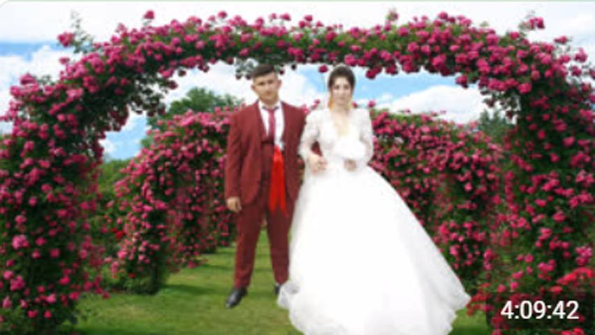 № 46 Цыганская свадьба Сергей и Золушка 27 августа 2023 в 4к видео смотреть онлайн