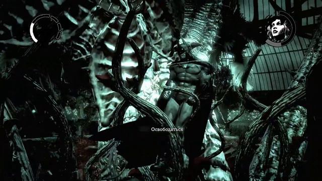 МИНУС ЯДОВИТАЯ ПЛЮЩАРА ➤ Batman: Arkham Asylum #13