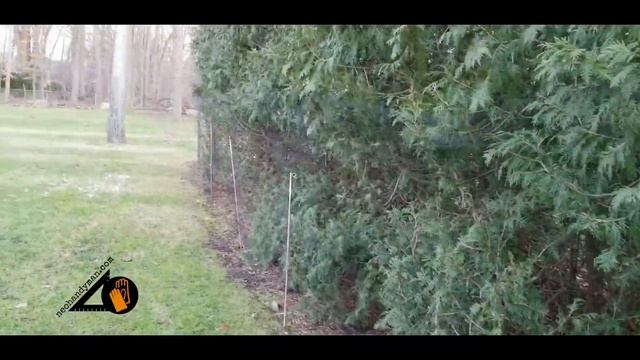 Will Garden Netting Keep Deer From Arborvitae? Proof! смотреть онлайн