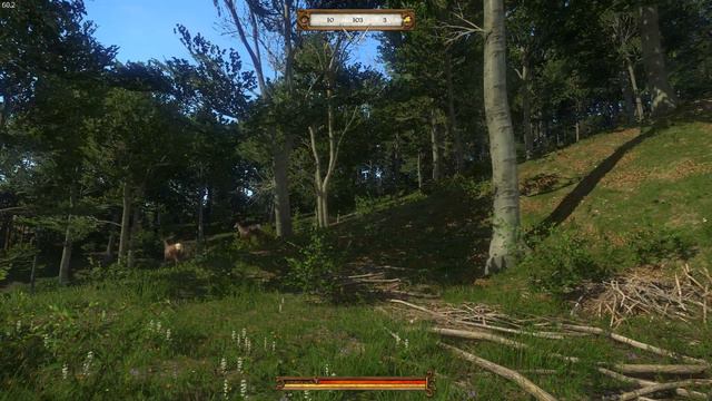 Kingdom Come Deliverance Прохождение #5 Женская доля: Бой с благородным паном. смотреть онлайн