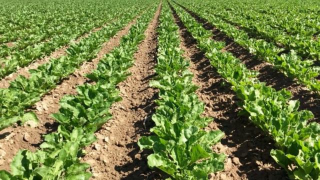 Доигрались господа хорошие! Володин предложил продавать за рубли не только газ, но и другой экспорт смотреть онлайн