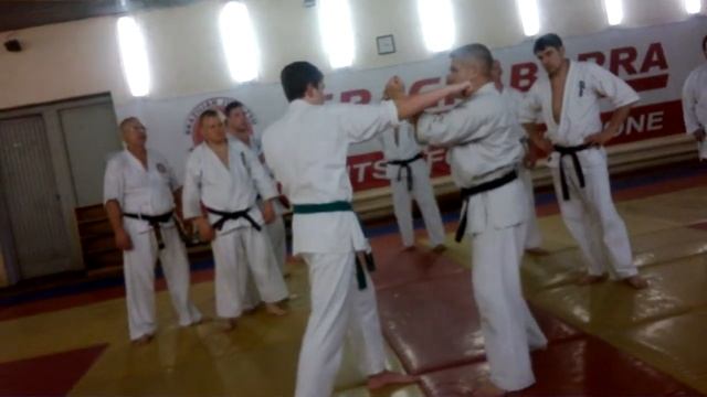 Kyokushin Budokai kan по системе канчо Георгия Астафьева смотреть онлайн