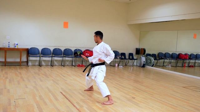 Kata Nijushiho Full Tutorial смотреть онлайн
