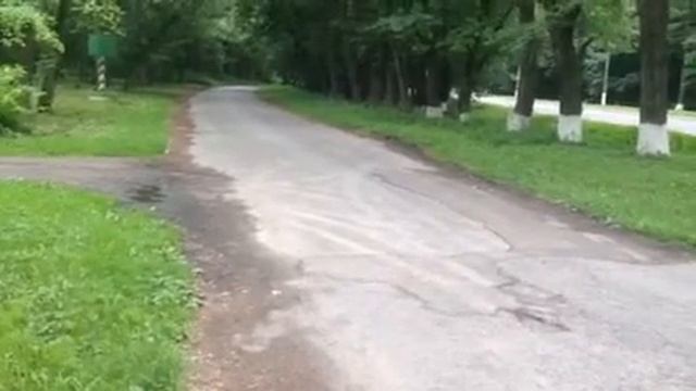 Форд Фокус 2 Выхлоп смотреть онлайн