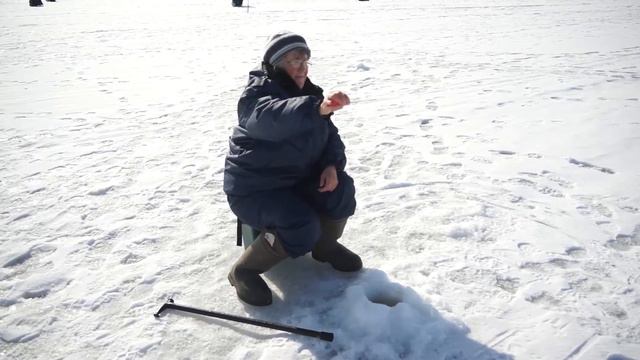 Кстовчанка Наталья Сергеевна Каскина стала победителем фестиваля «Чкаловская рыбалка-2017» смотреть онлайн