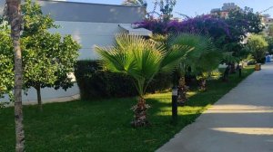 Обзор отеля Green Garden Resort Hotel 4*. Аланья, Турция.