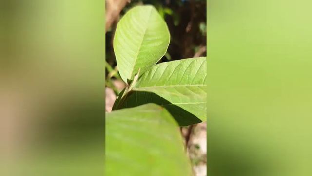 Redmi note 10s unboxing 🔥⚡first impression🥇5000mah battery🔋 33W fast charging🔋⚡ 6,64gb rs=14999 смотреть онлайн