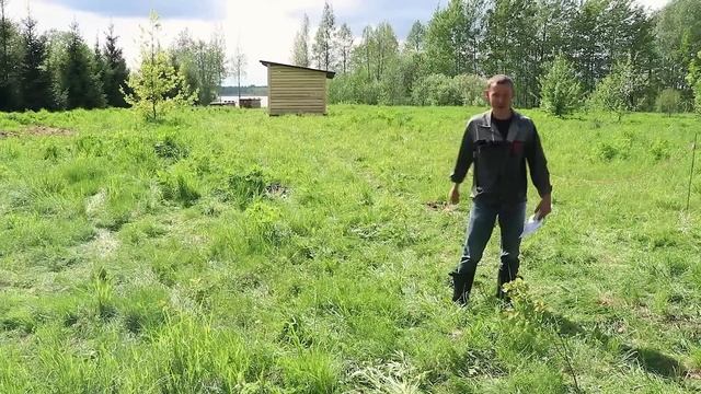 Как нам удалось почти даром подвести к участку электричество? смотреть онлайн