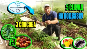 3 СУПЕР СПОСОБА ПОДВЯЗКИ ПОМИДОР, ПОДВЯЗКИ ОГУРЦОВ И ПОДВЯЗКИ ПЕРЦЕВ. ЭКО-САД ВЫХОДНОГО ДНЯ 23-18
